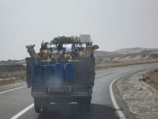 Beschrijving: M:\IMG_2284.JPG